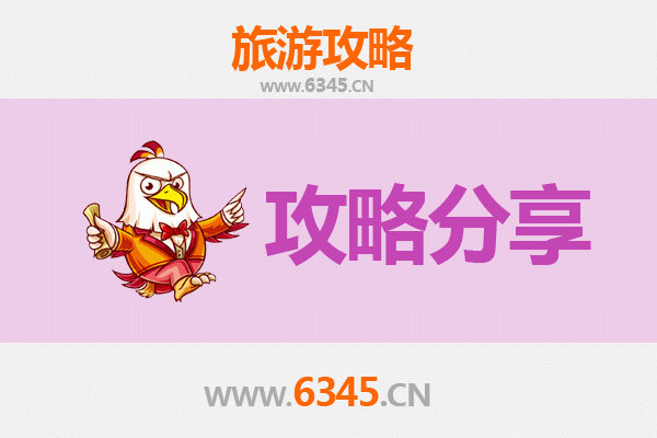 聊城出发湄洲岛旅游攻略：跟团VS自由行全解析